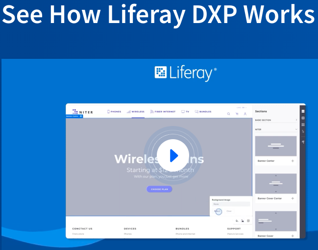 screenshot of Liferay DXP
